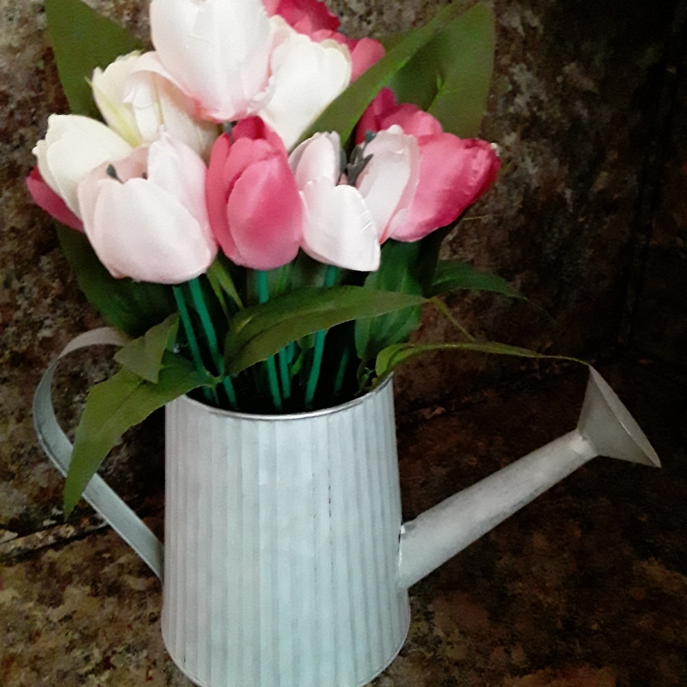 Tulips in watering can